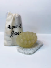 Load image into Gallery viewer, Magnified Aloe